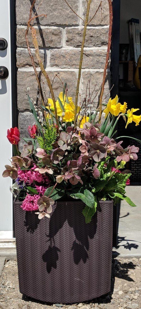 planted container for spring