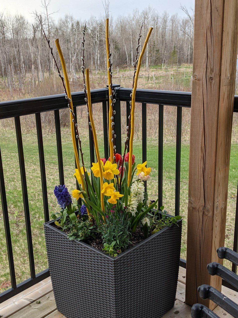spring container