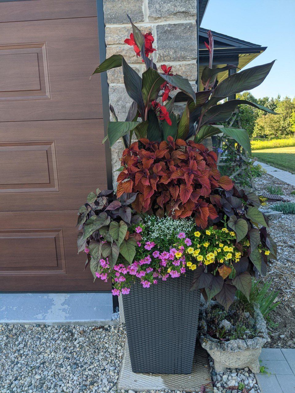 summer container  planted with flowers