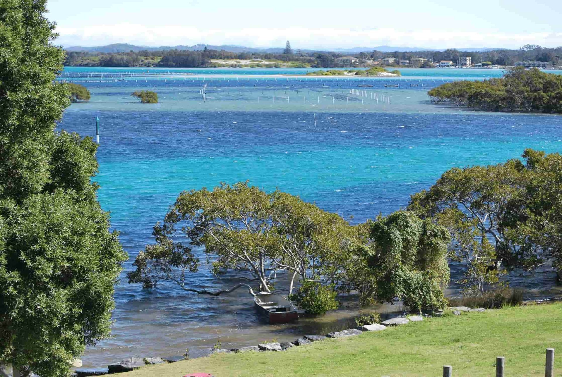 A Large Body of Water With Trees in the Foreground — Mackie's Concrete Pumping In Forster, NSW