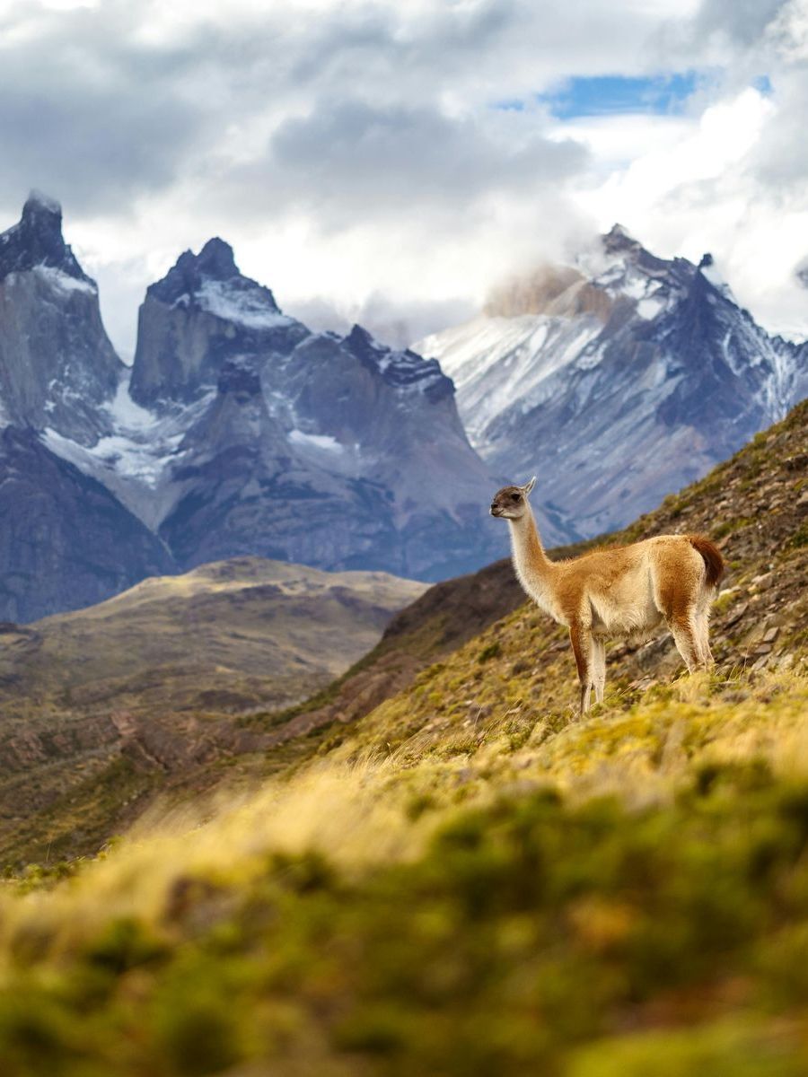 LGBT travel to Patagonia Torres del Paine Chile. LGBT adventure
LGBT adventure, GAy tours, Gay travel, LGBT travel, LGBT Tour