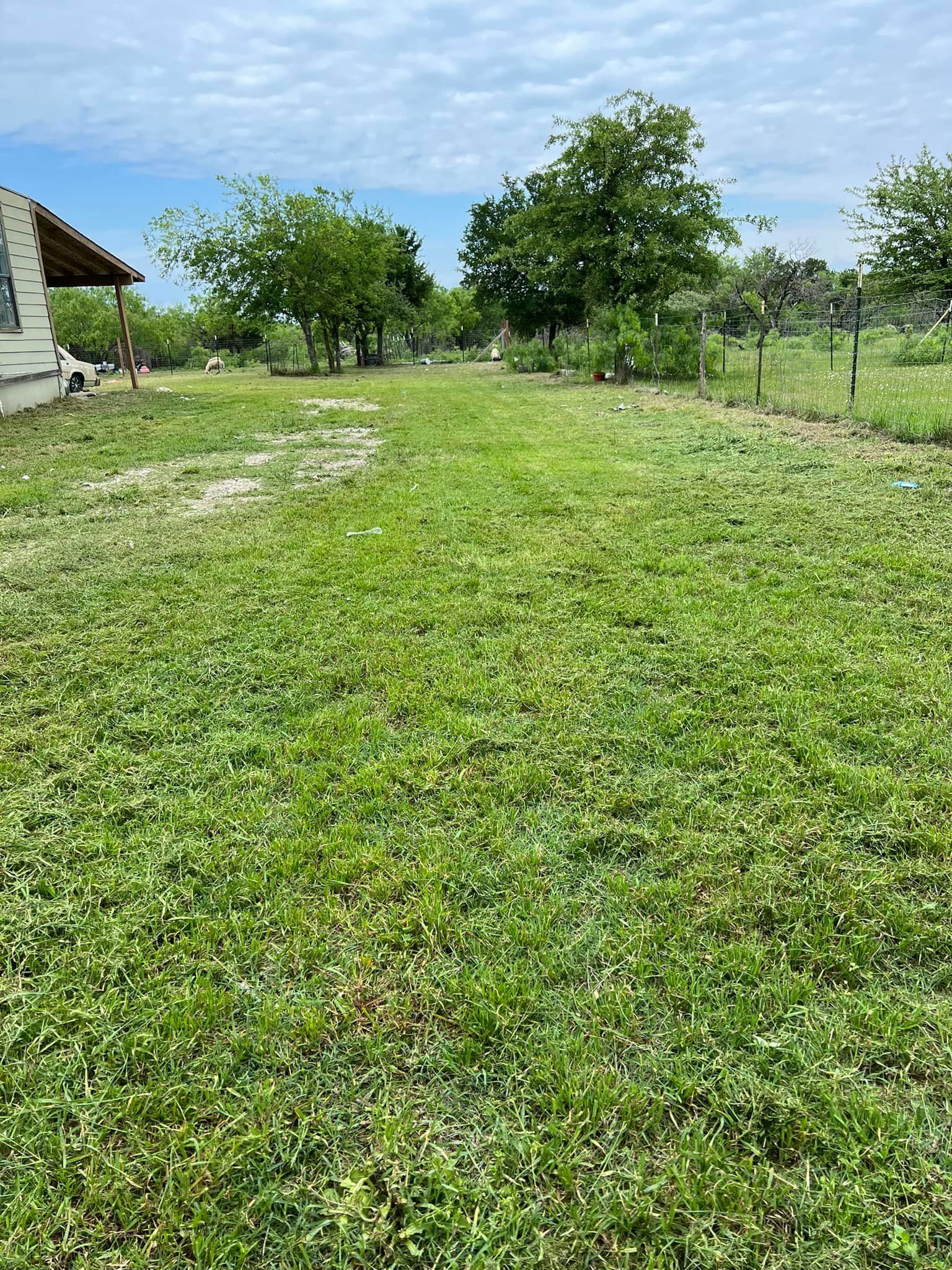 Grassy yard with trees and a house on a partly cloudy day.
