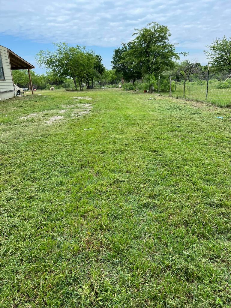 Grassy yard with trees and a house on a partly cloudy day.