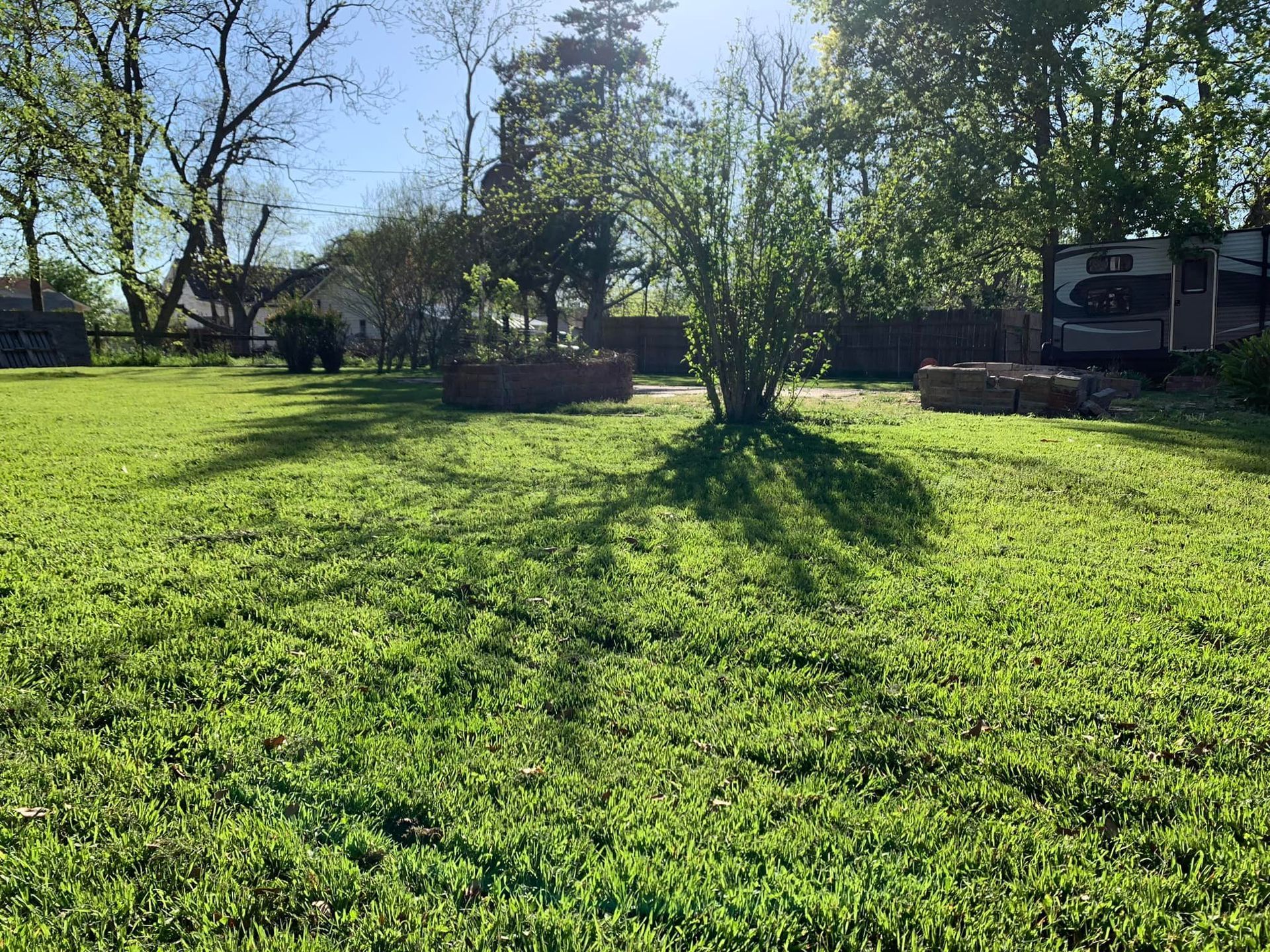 Green grassy yard with trees, bushes, and a partial view of a building in bright sunlight.