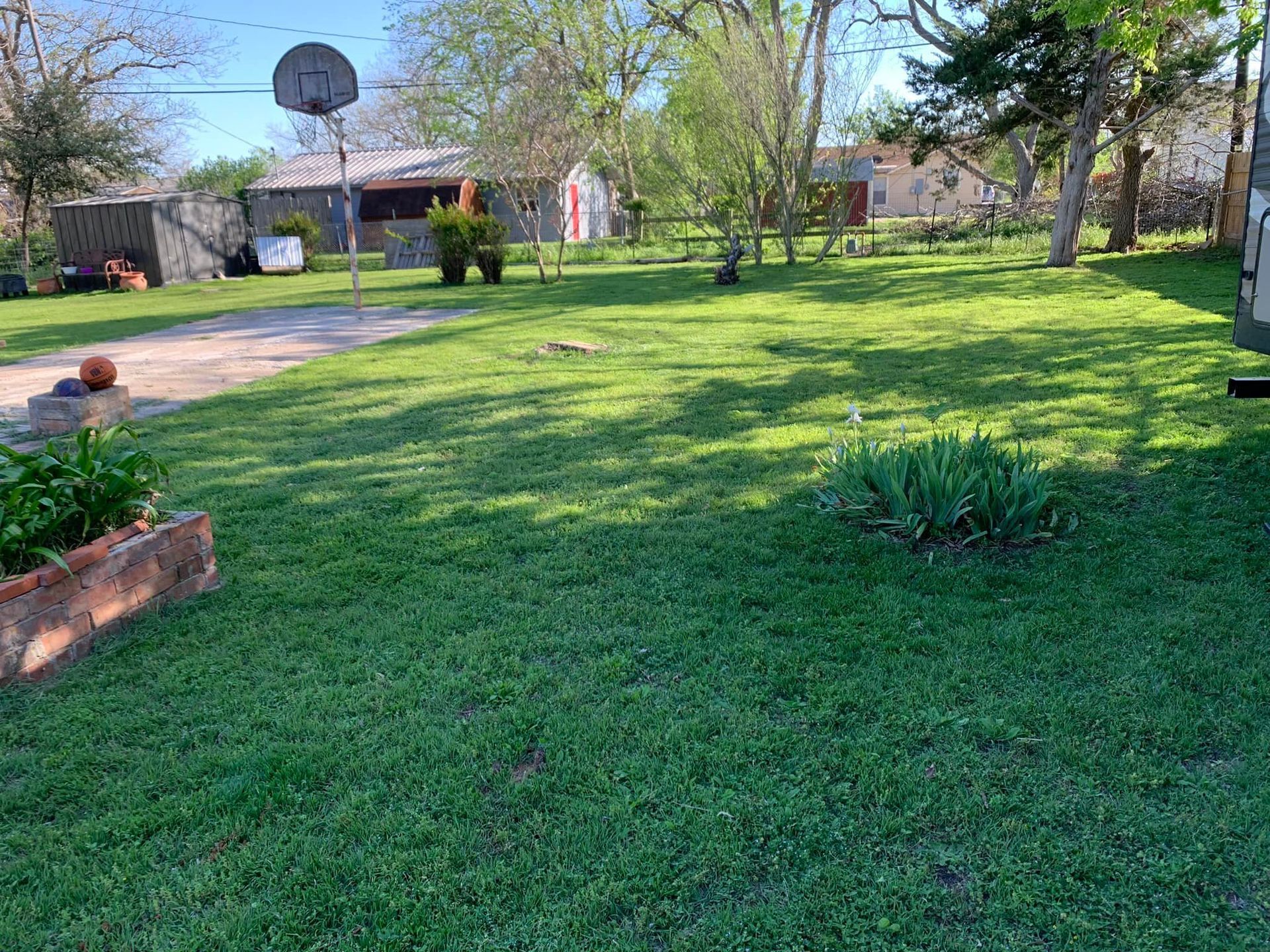 Grassy backyard with a basketball hoop, trees, and buildings in the background.