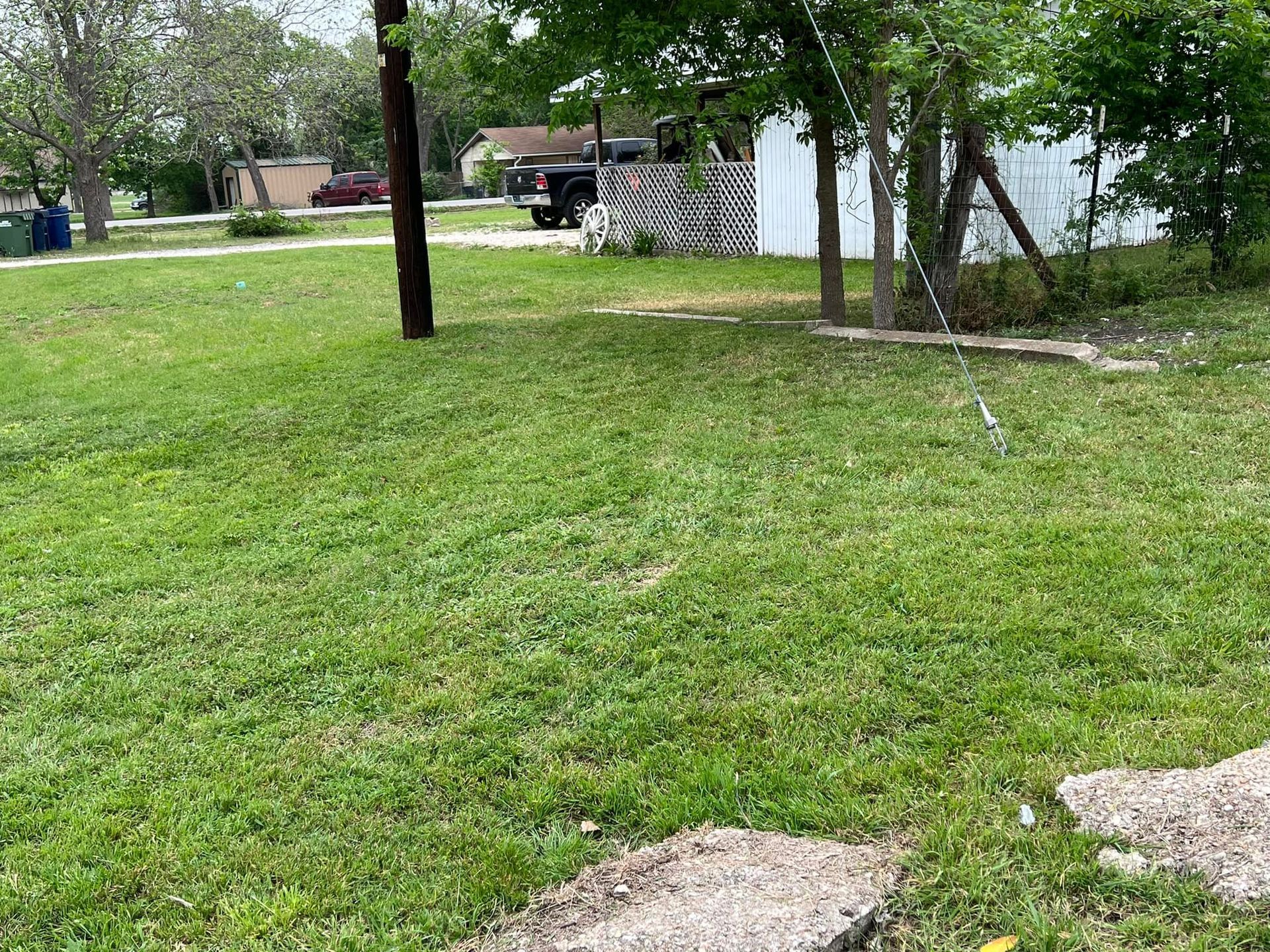 Lawn with green grass and trees, a wooden fence, and houses in the background on a sunny day.