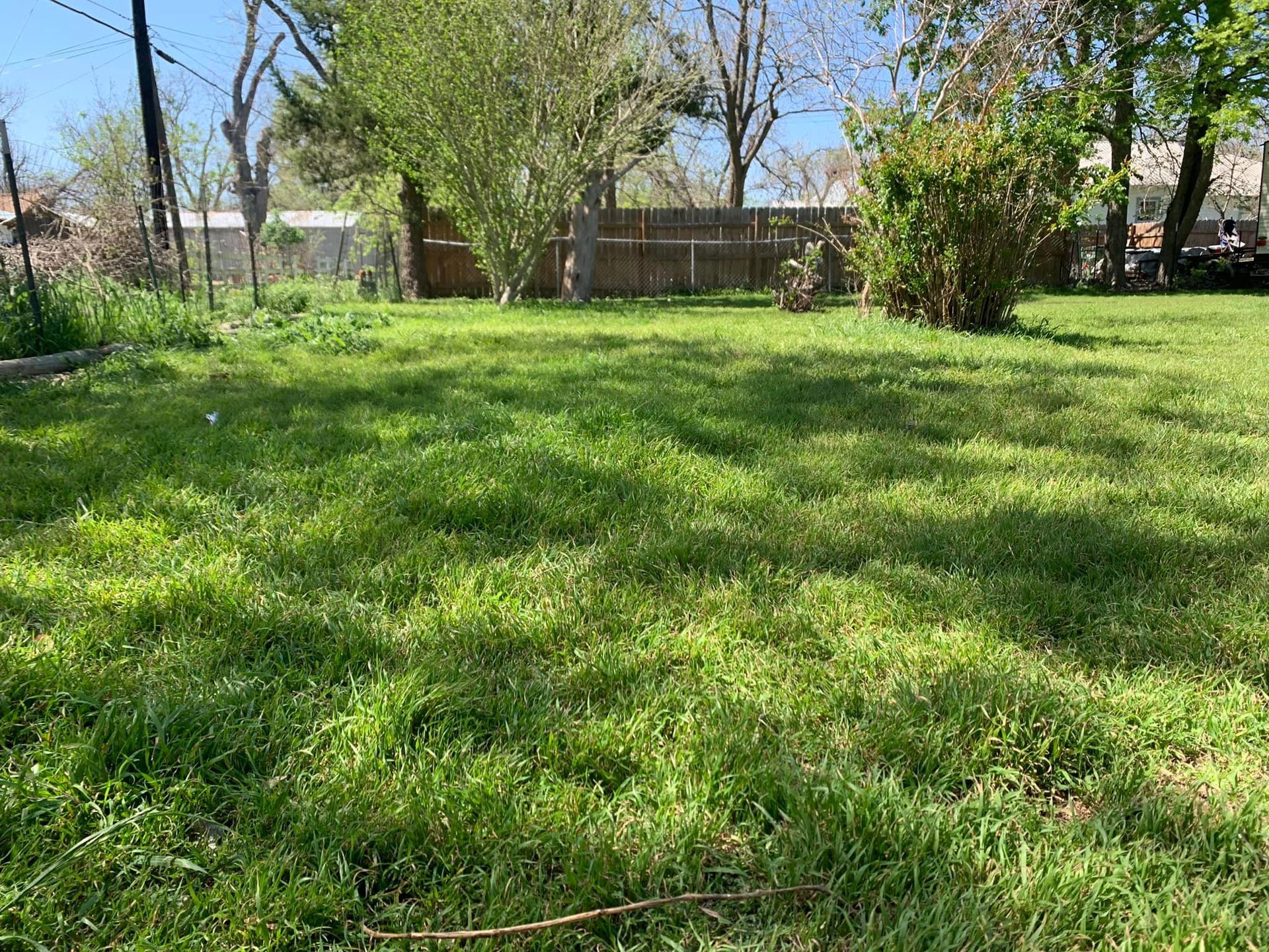 Grassy backyard with sparse trees and wooden fence under a sunny sky.