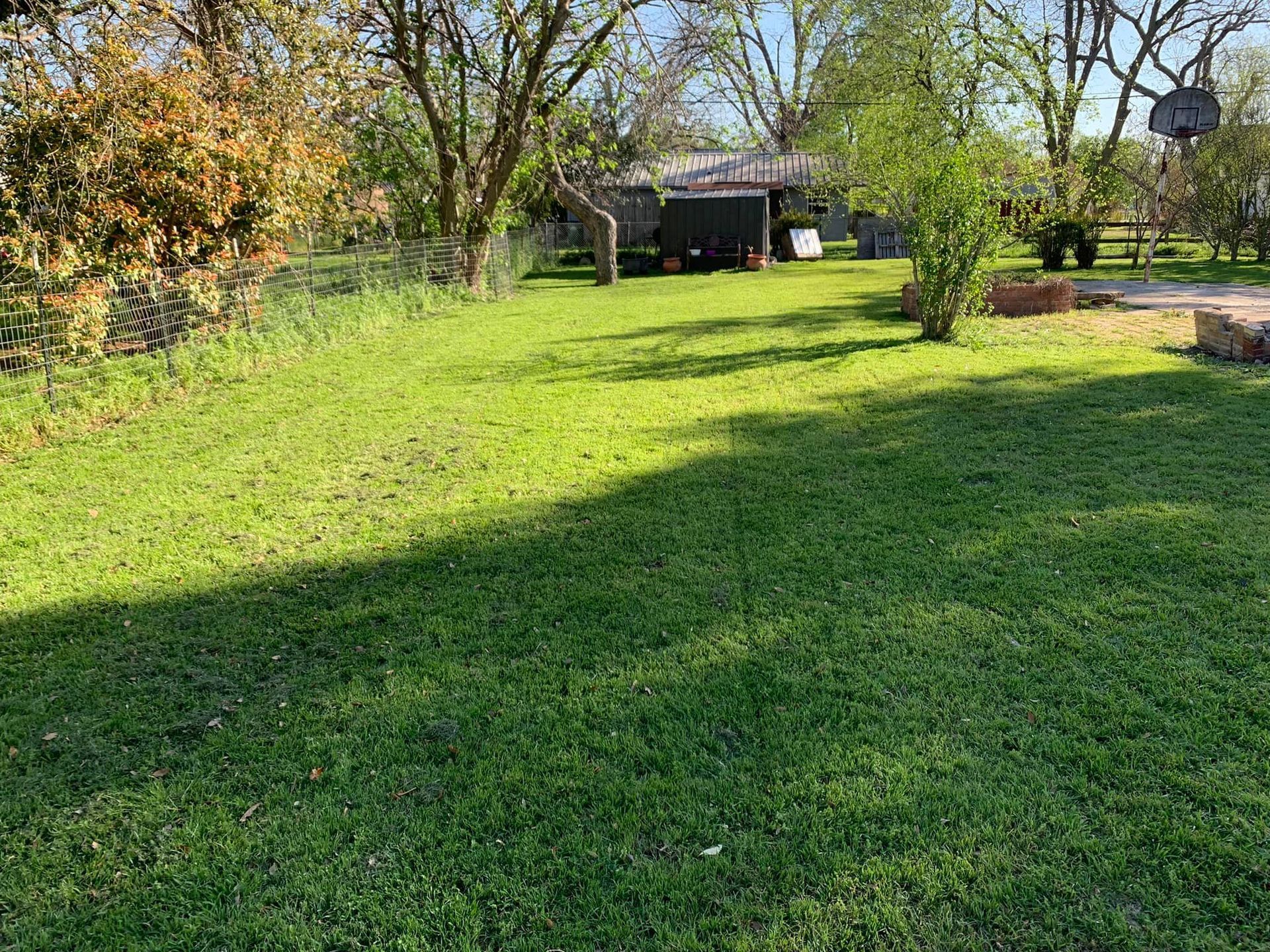 Green lawn with trees in the background under a sunny sky.