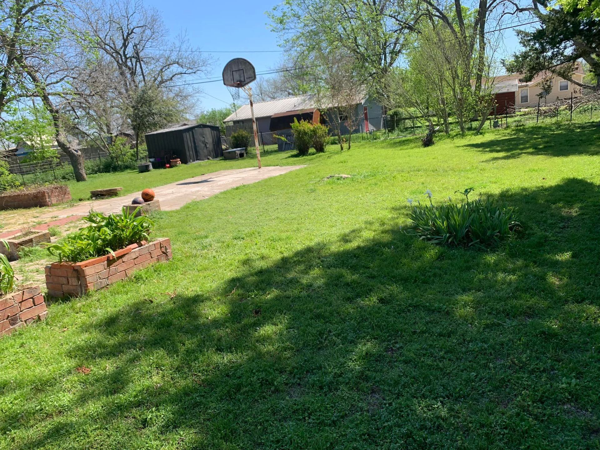 Grassy backyard with basketball hoop, garden beds, and small shed, under a sunny blue sky.