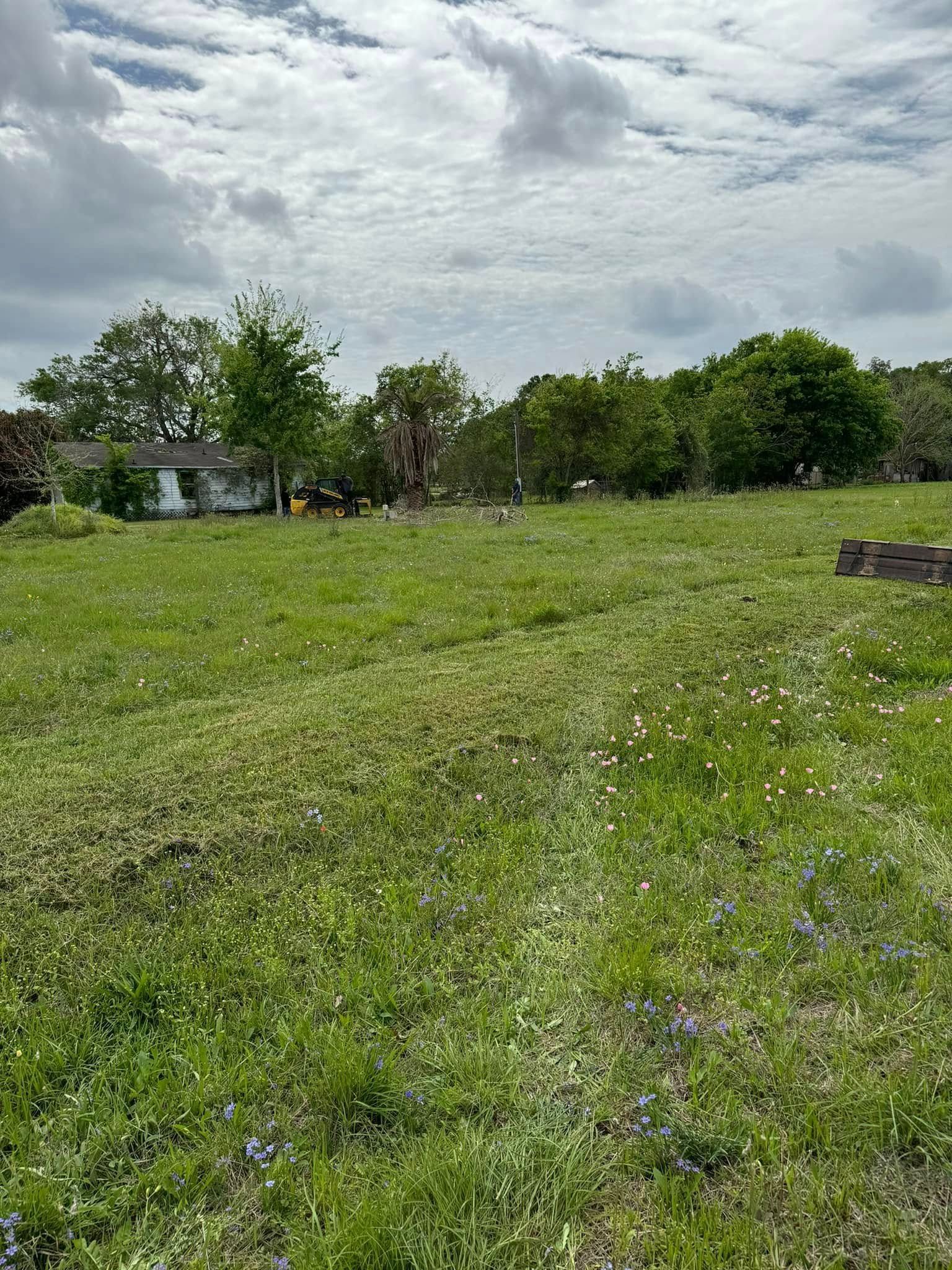 Green grassy field with wildflowers, trees, and cloudy sky in the background.