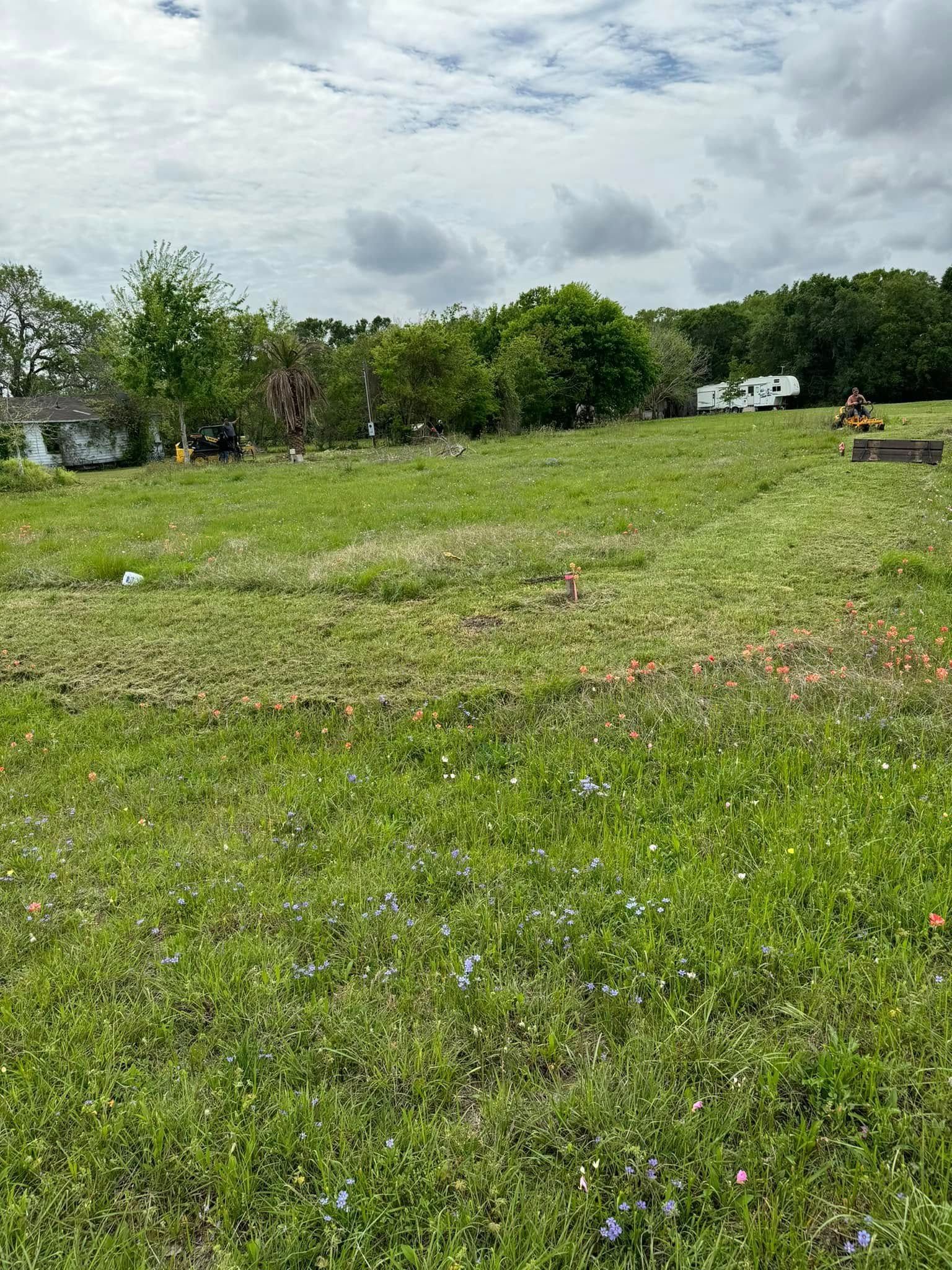 Grassy field with trees in the background under a cloudy sky. Some areas appear recently mowed.