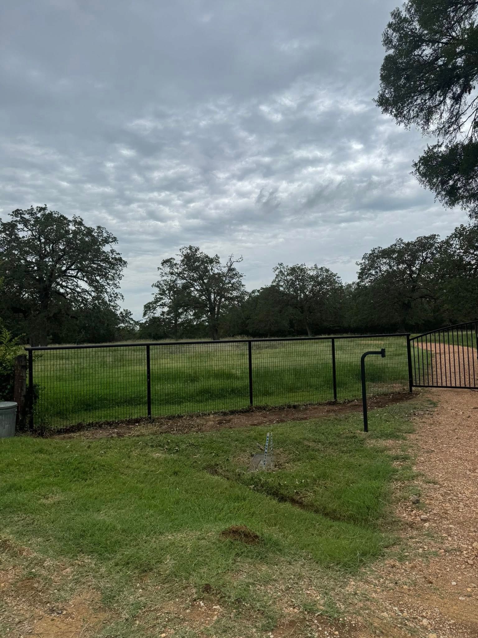 Green fenced area with grass, trees, and cloudy sky.