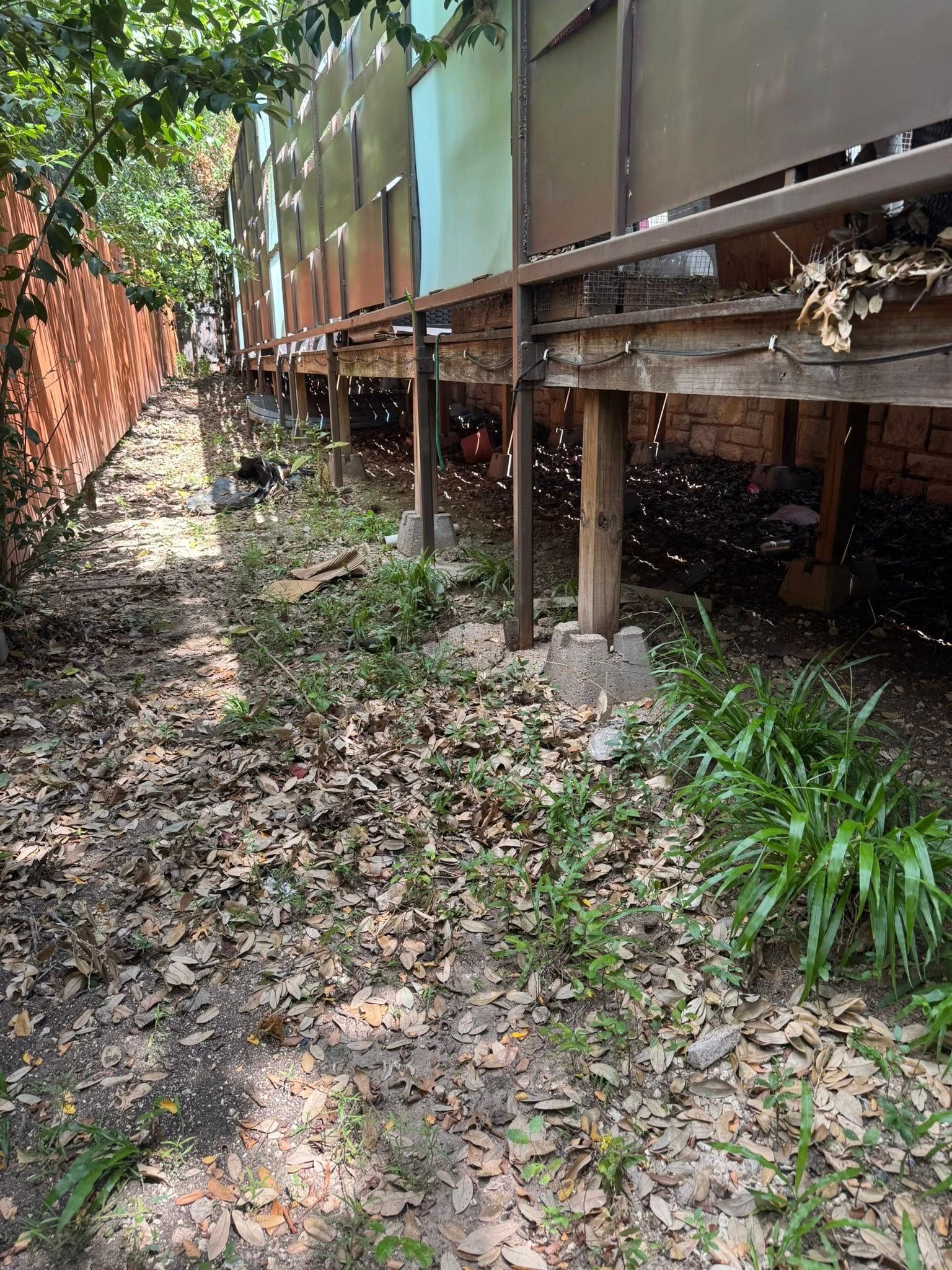Ground view of raised building with wood supports, brick wall, and overgrown vegetation.