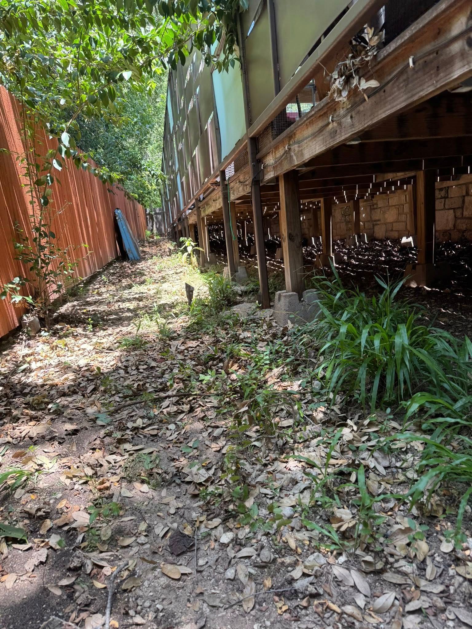A narrow, overgrown yard between a building with a wooden deck and a red brick wall.