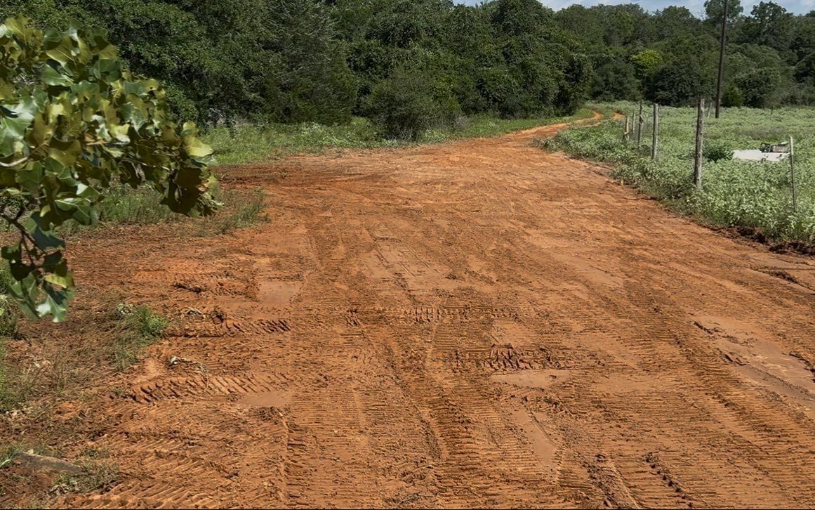 Dirt path through field, bordered by trees on the left and a fence on the right.