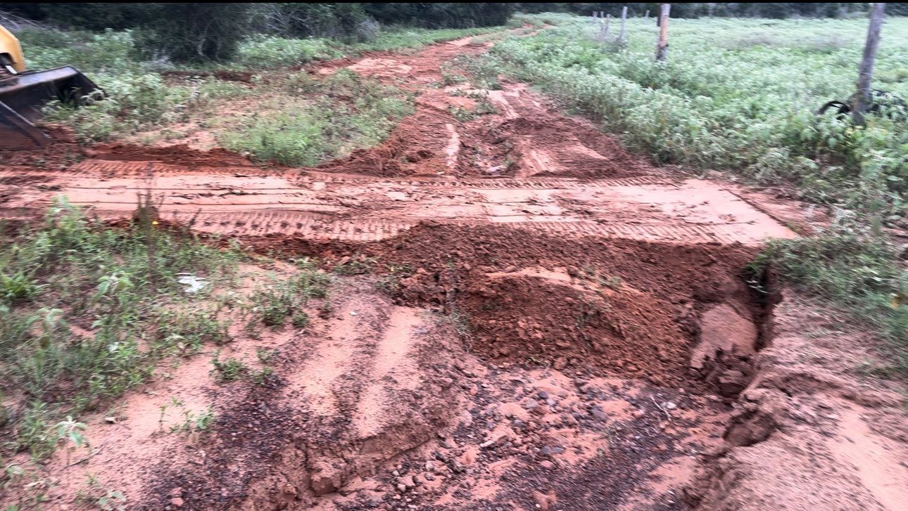 Dirt road under construction, with tire tracks and excavated soil. Green grass borders the road.
