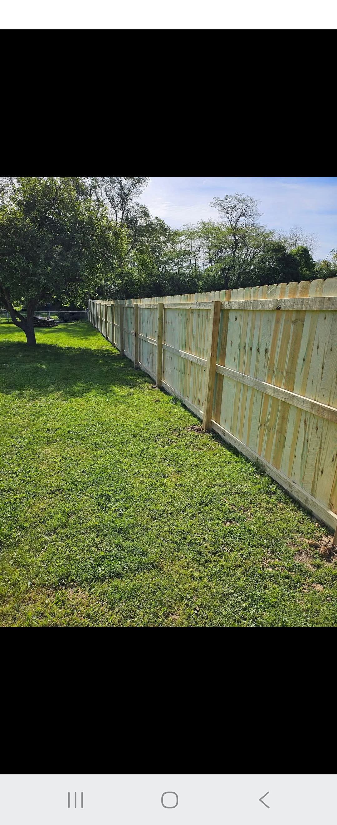 A wooden fence lines a grassy yard, with a tree in the background under a blue sky.