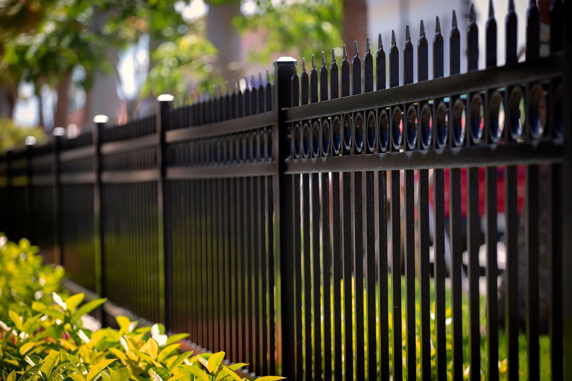 Black metal fence with decorative top, in front of greenery.