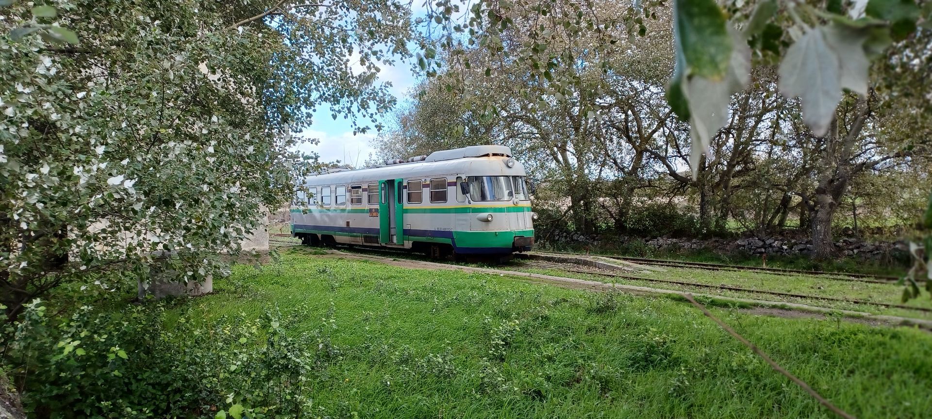 Trenino Verde, Tinnura