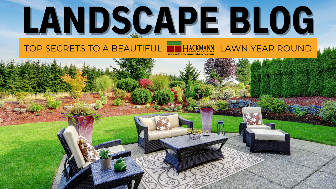 https://www.hackmannlawn.com/the-importance-of-lawn-fertilization Hackmann Landscape Blog | Missouri Market Boss | St. Charles, MO