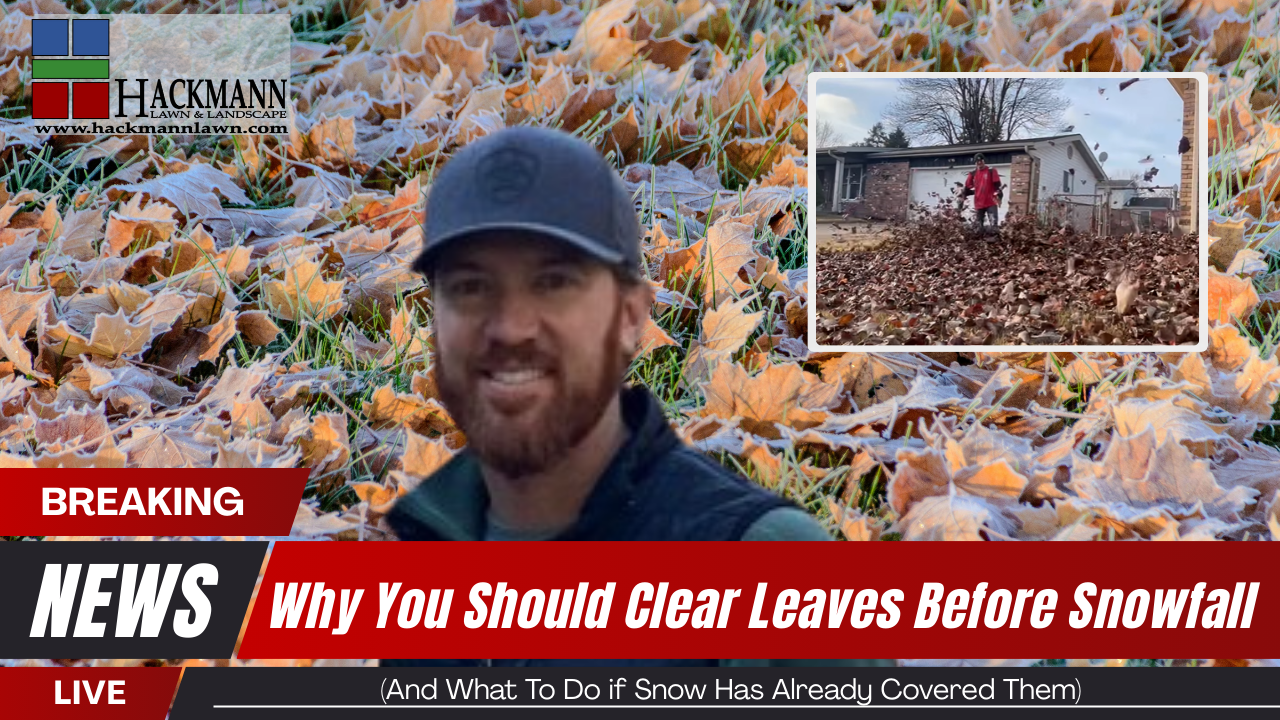 YouTube Video Trends for Landscapers