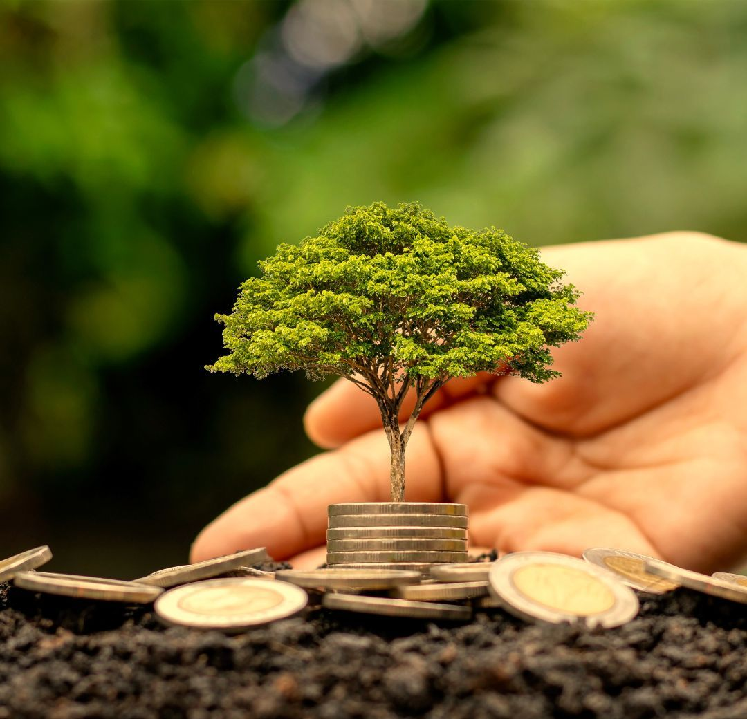 A hand holding a tree growing from coins in soil, surrounded by more coins.