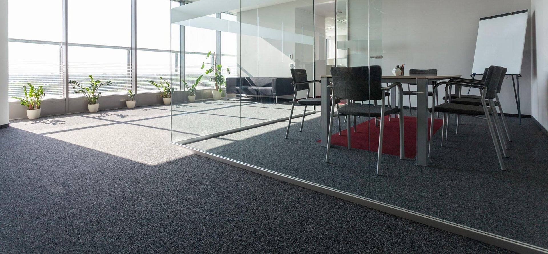 A rug being cleaned with a machine. A person stands nearby.