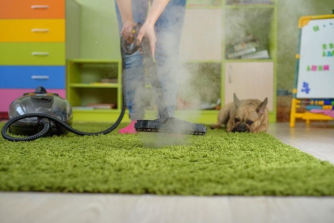 Person steam cleaning a green carpet in a colorful room; a dog watches.