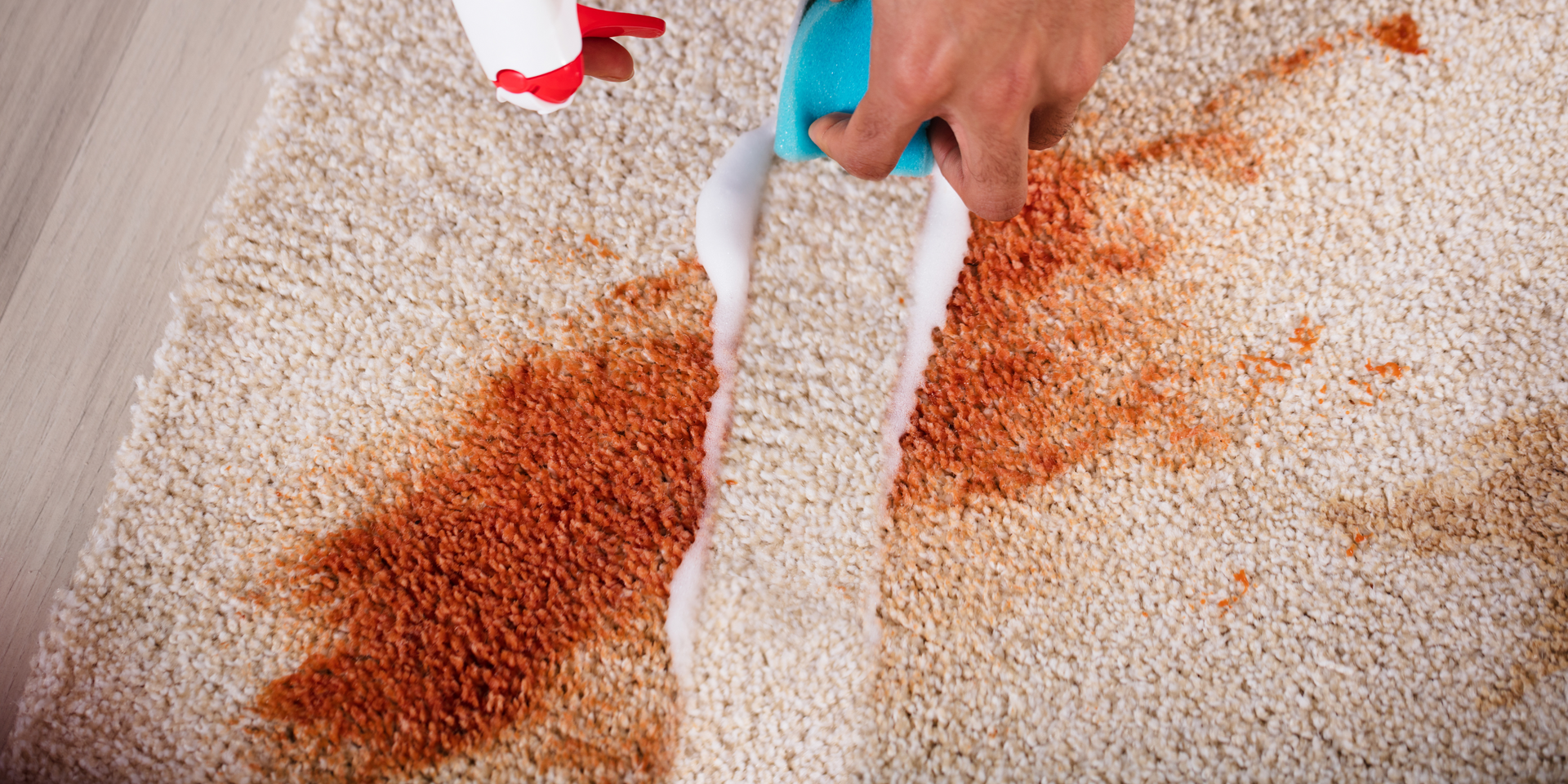 Hand using a scrubbing tool on a carpet stained with a dark brown liquid.