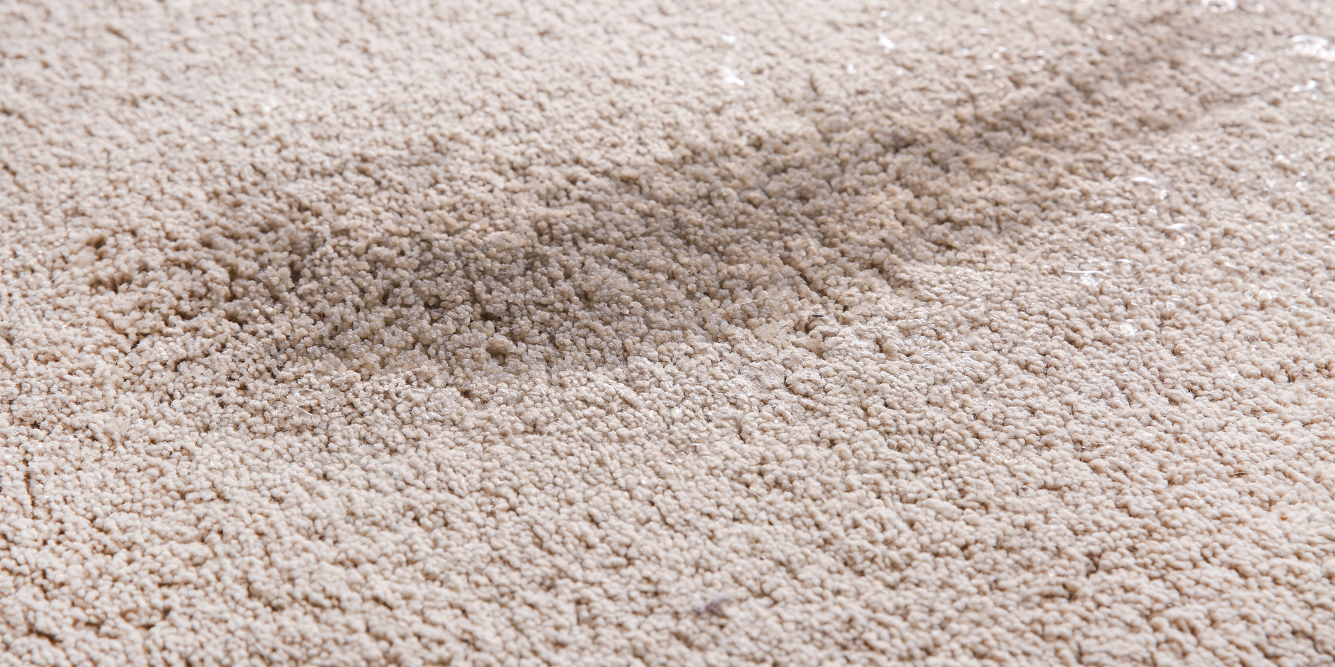 Close-up of a beige shag rug with a wet or stained area.