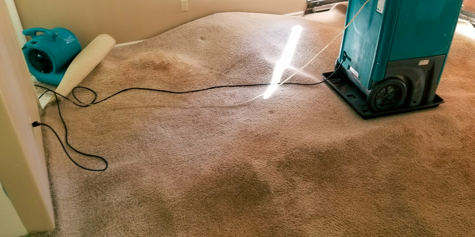 A carpet is being dried with a teal blower and a large machine.