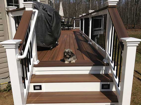 Elevation — Deck with cute puppy in Woodbridge, VA