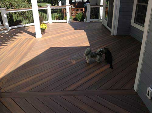 Runnel — Decks with cat and dog in Woodbridge, VA