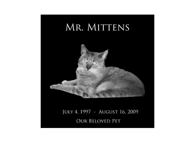 A black and white photo of a cat with the name mr. mittens on it