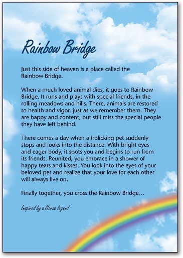 A rainbow bridge poem with a rainbow in the sky