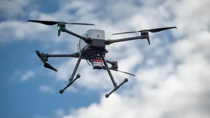 Bee Tactics NIGHTWASP