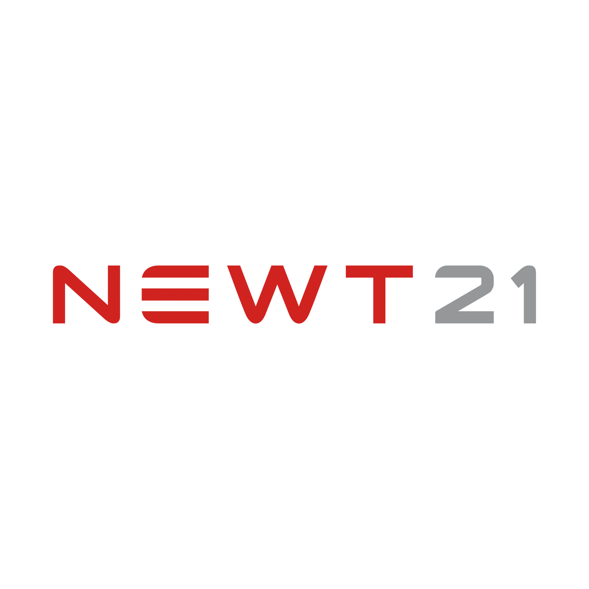 NEWT21 logo