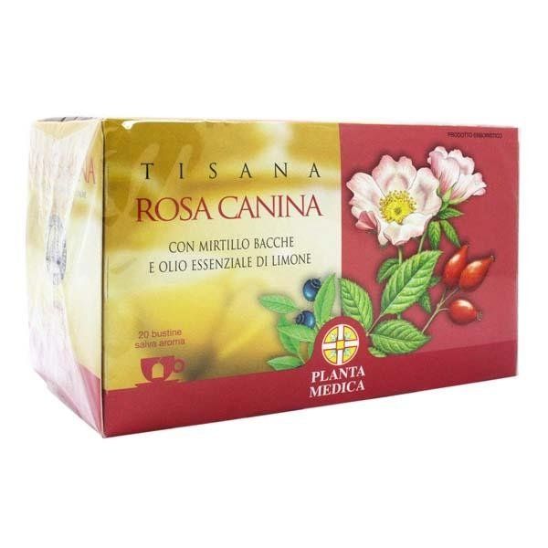 Tè alla rosa canina