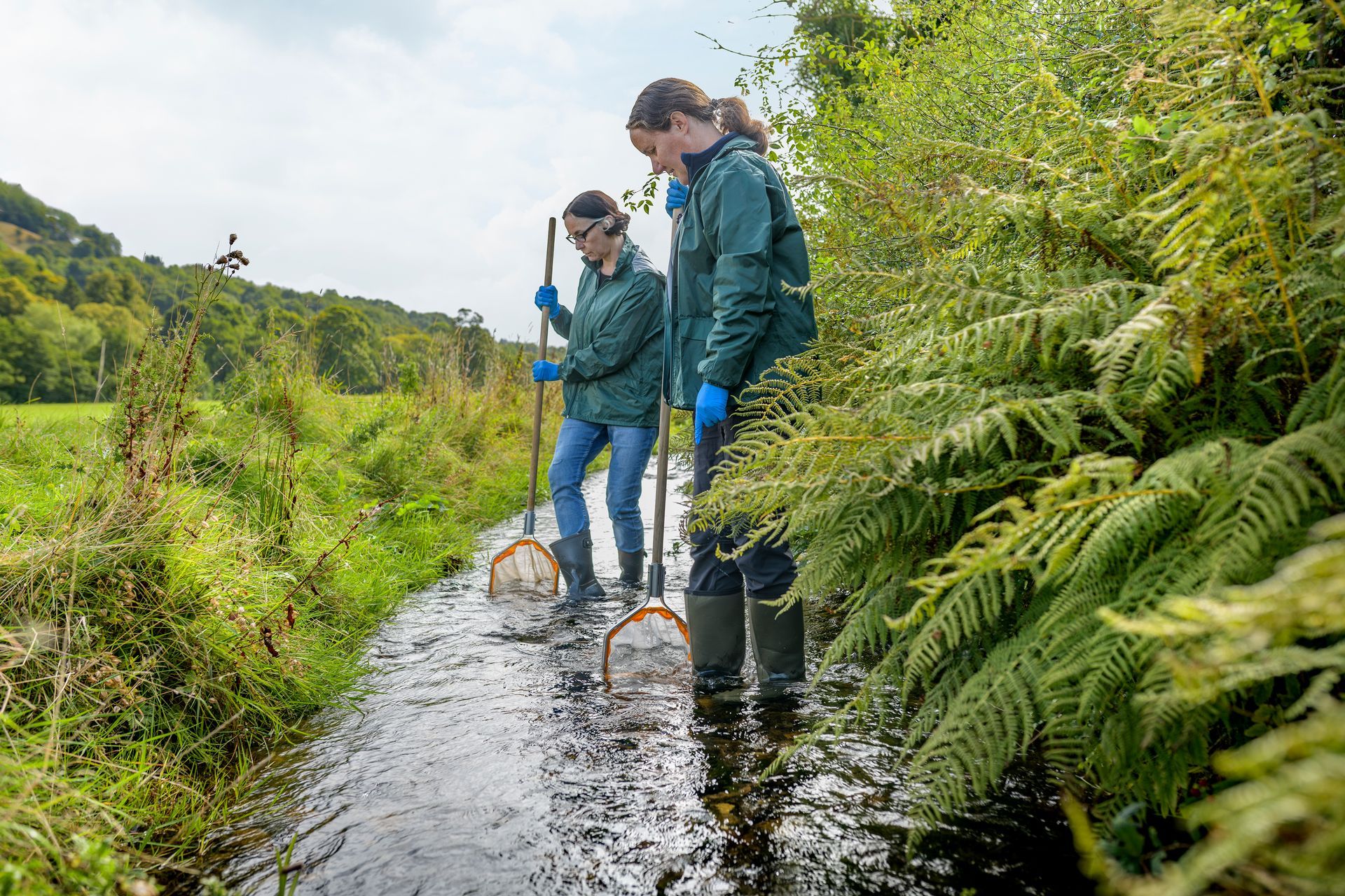 people riverfly testing