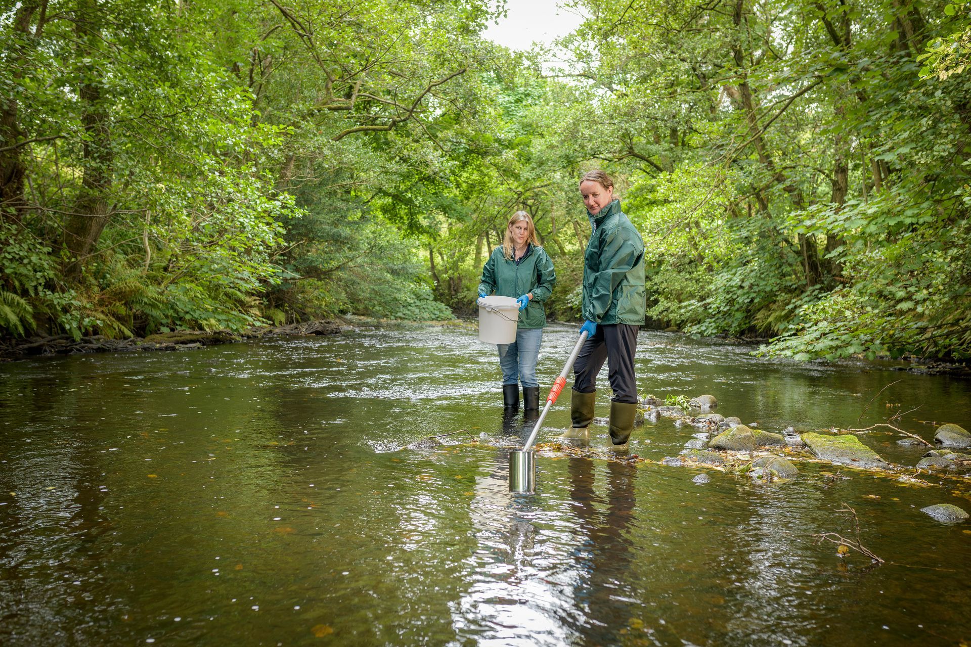 Riverfly monitoring in River Nidd