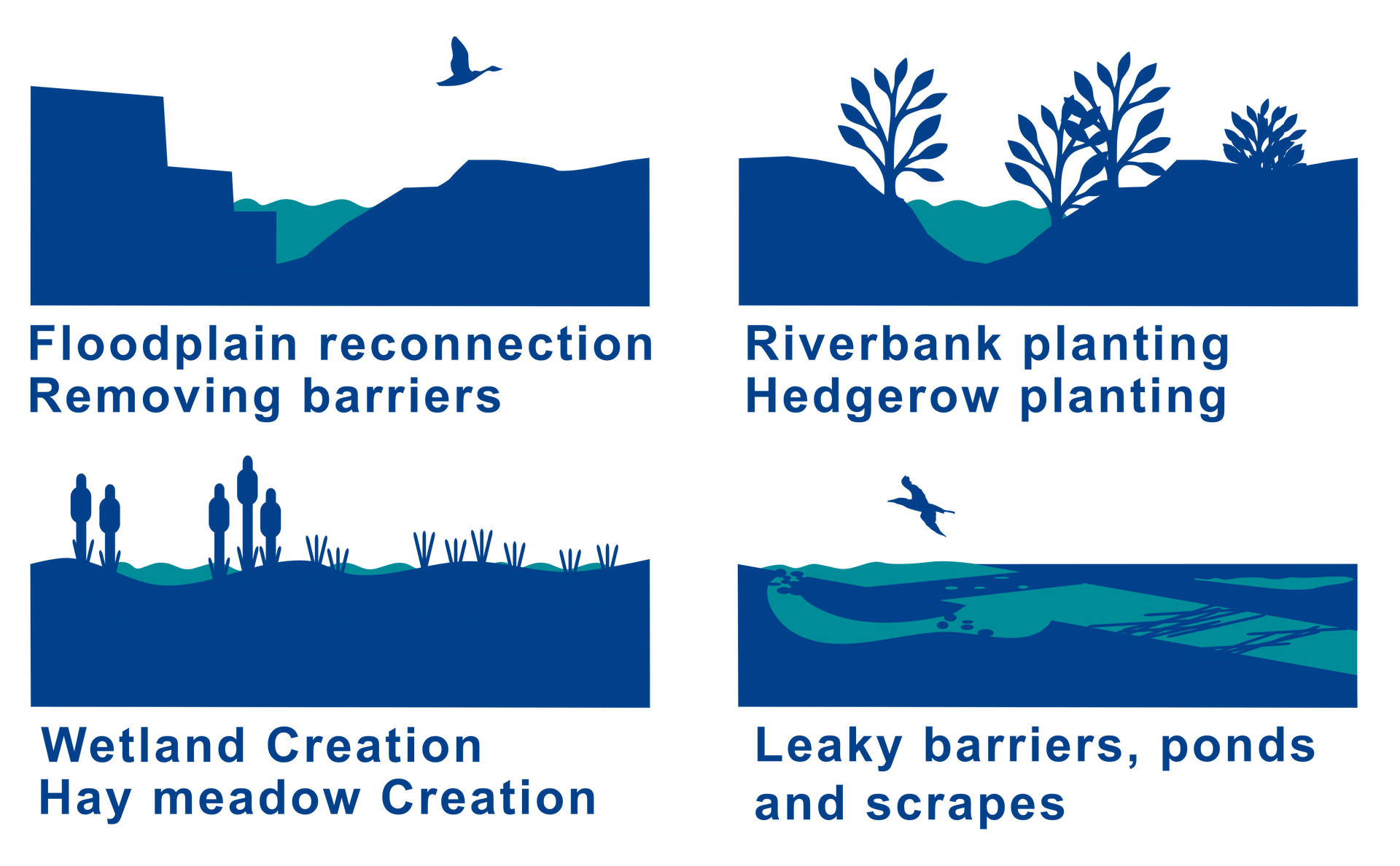 Nature Based Solutions