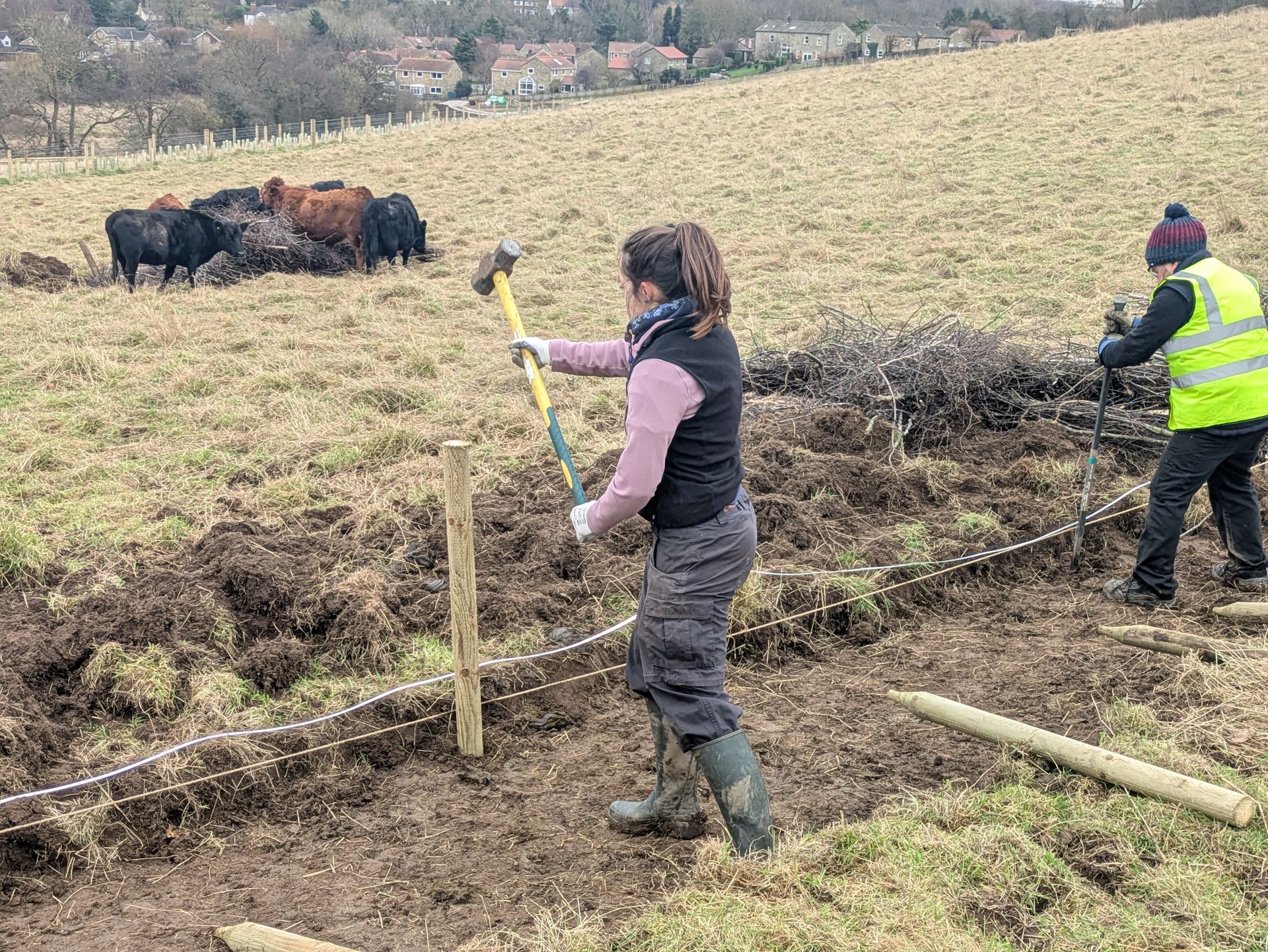 Building a leaky dam