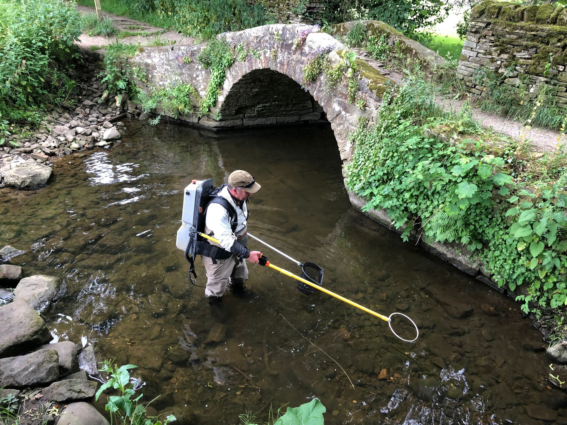 Electro fishing in Addingham beck