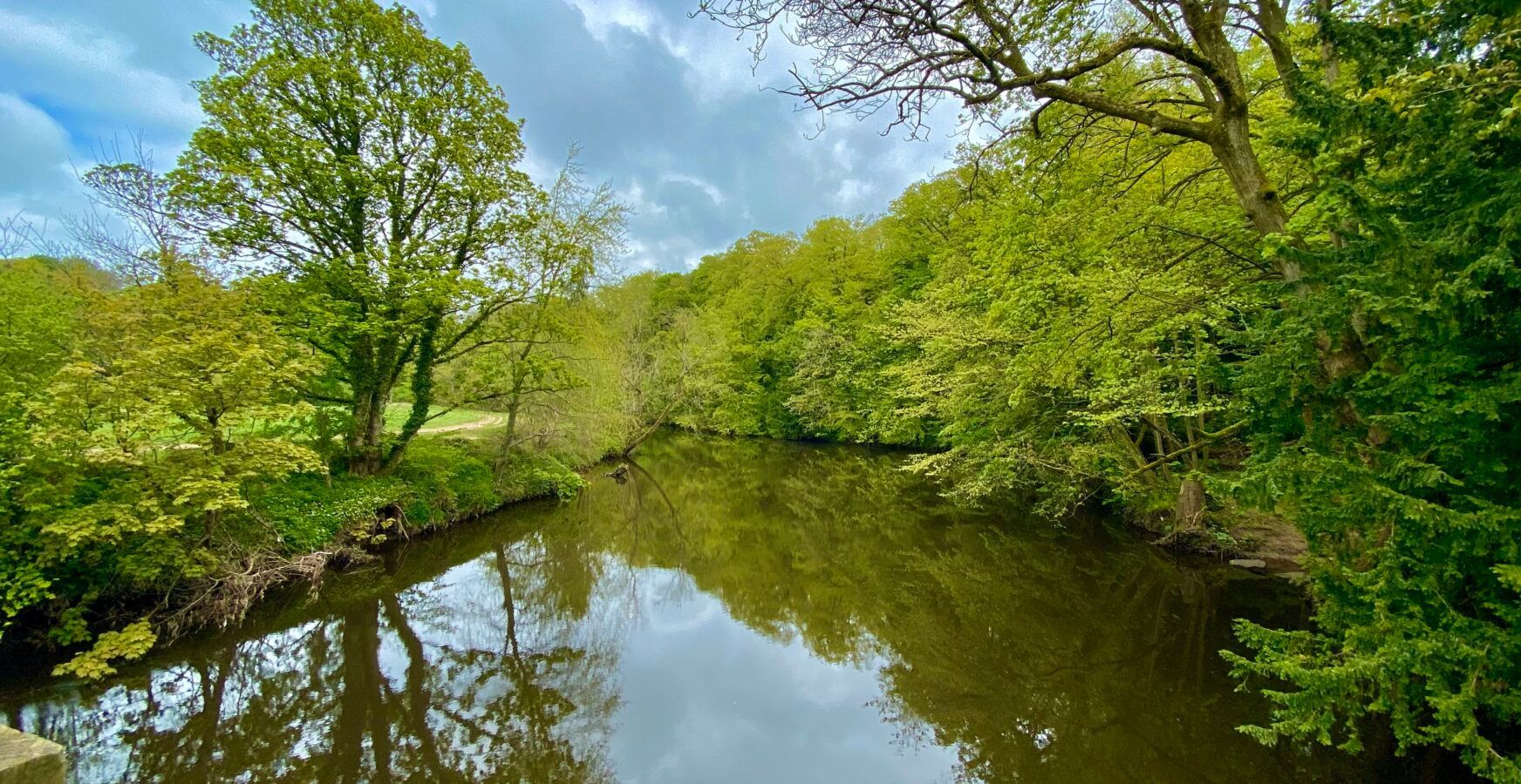 River Nidd