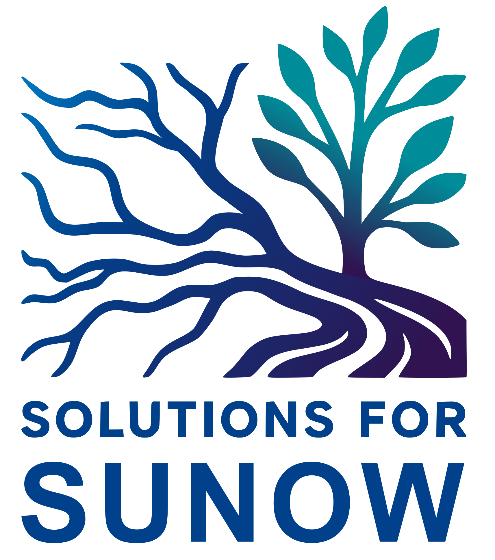 Solutions for the SUNOW