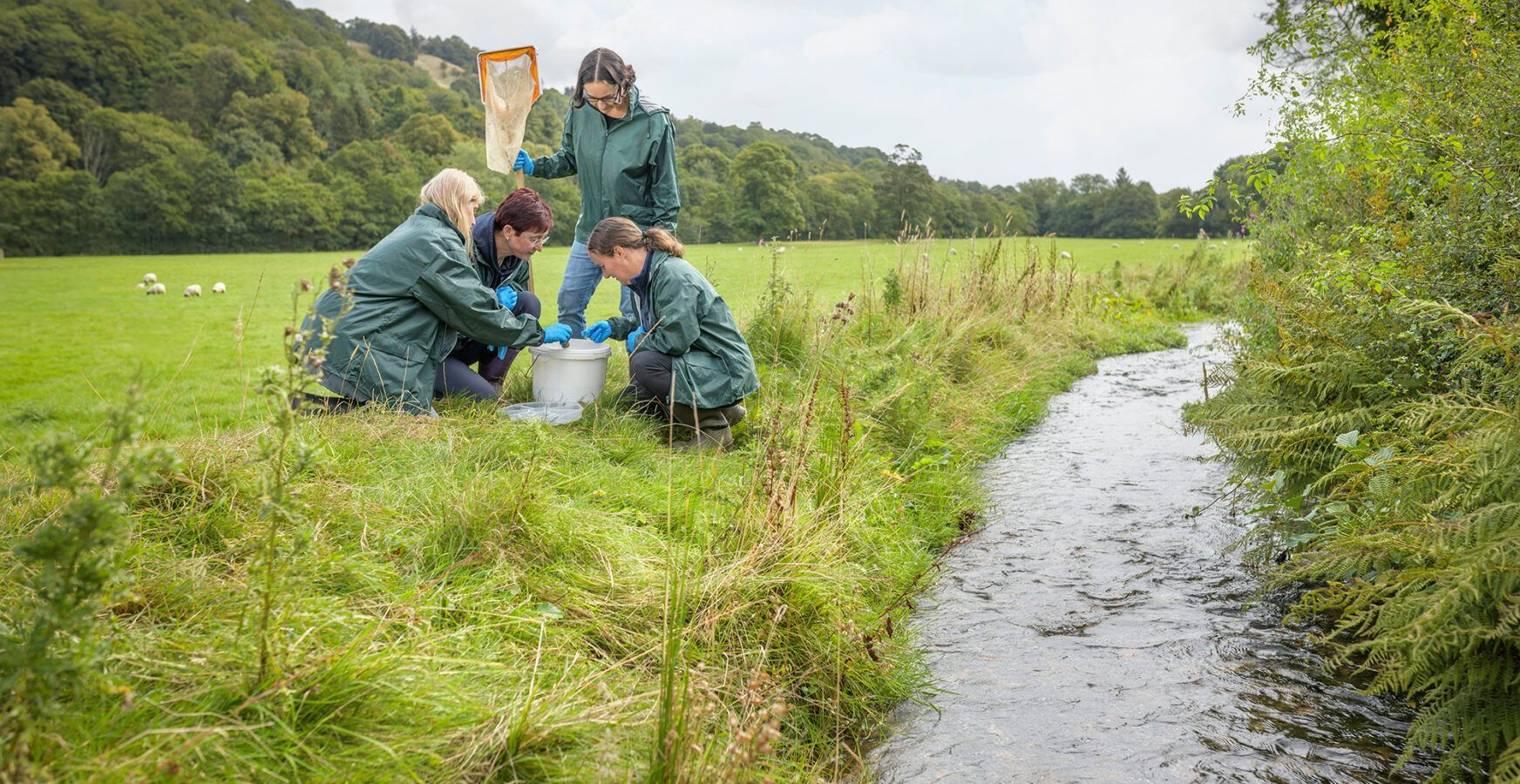 people riverfly monitoring