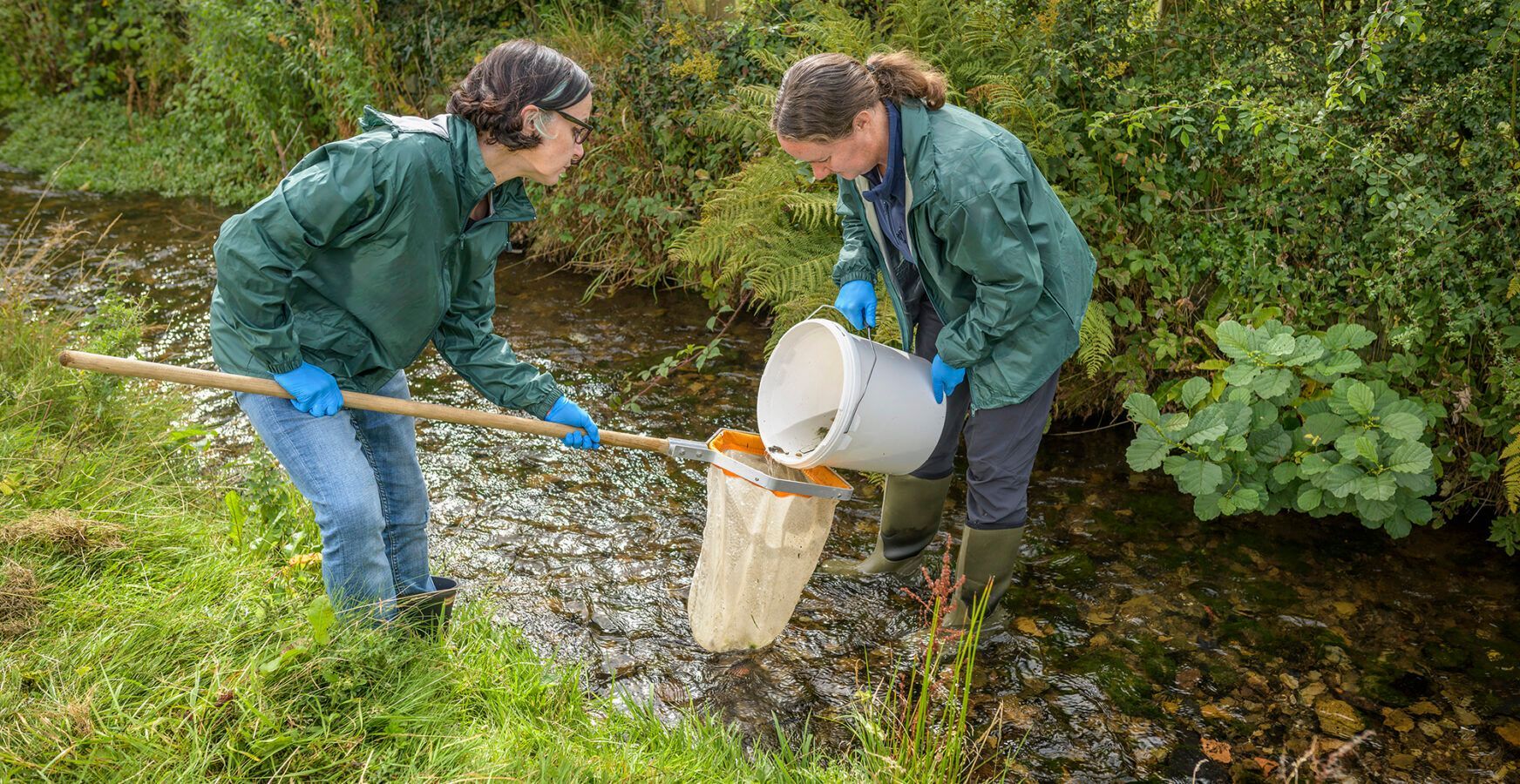 Riverfly monitoring 