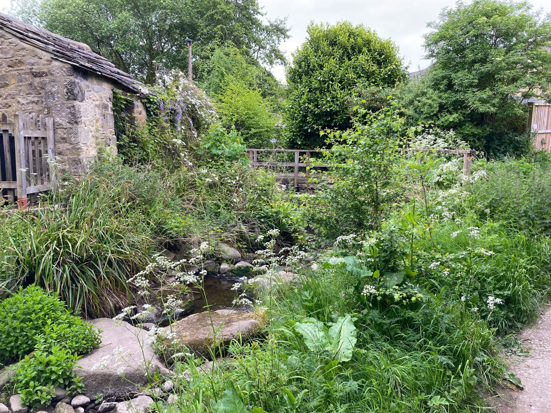 Town Beck, Addingham 