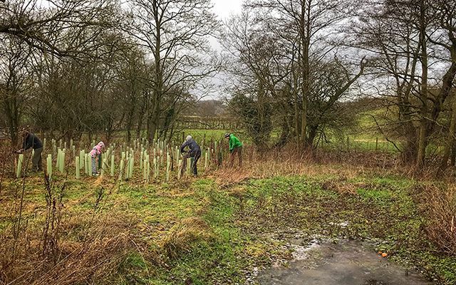 people planting trees