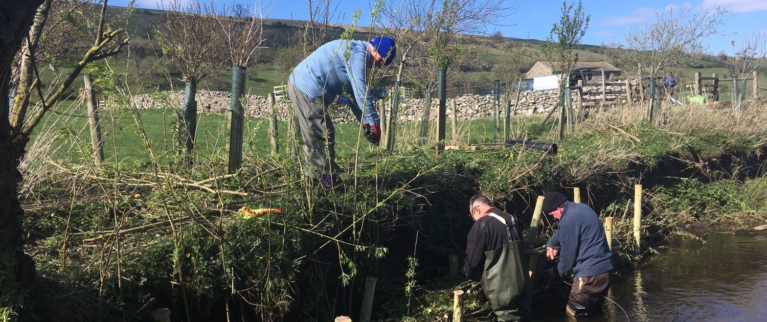 people willow spilling a river bank